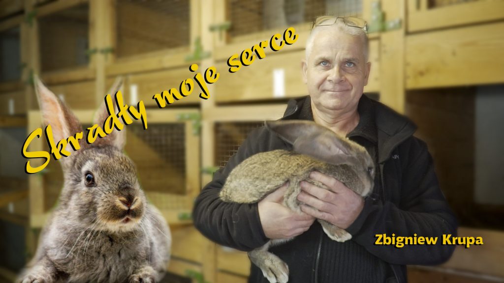Zbigniew Krupa hodowca królików
